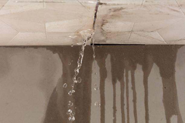 Professional Water Damage Repair technician working in Richmond Hill, GA